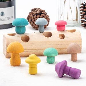 Jeu montessori champignon en bois